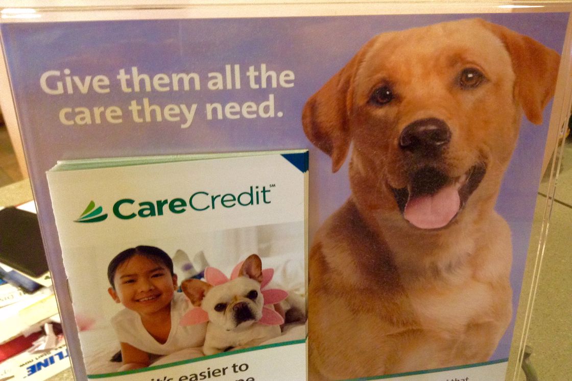 CareCredit pet loans poster at a veterinarian office