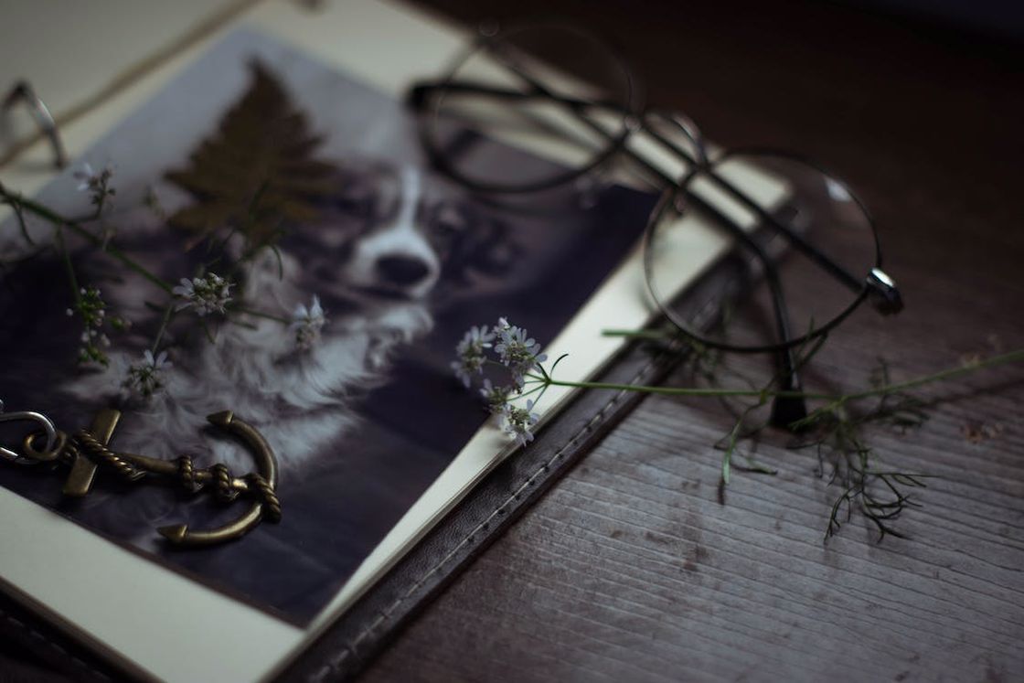 Opened white diary with dog photo and eyeglasses and white flowers on top of it