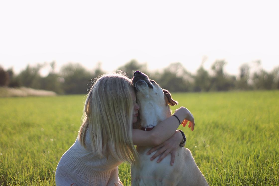 Little girl embracing her white dog out in the field