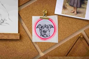 An image of a dog on a cork board as a remembrance