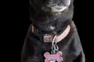 In memory of Rita