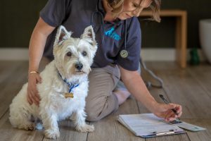 Woman writing on a piece of paper while holding a white dog