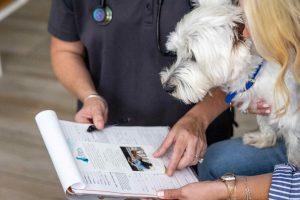 A dog and his owner looking at the form for euthanasia