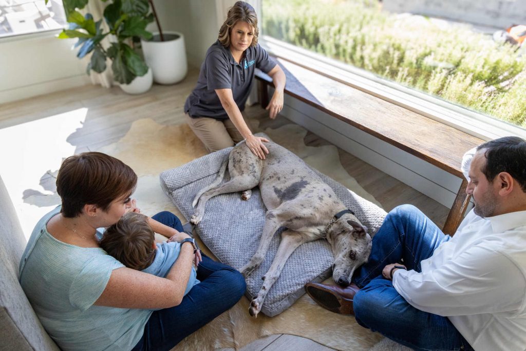 A dog lying on a pillow surrounded by his family