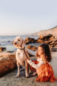 A girl playing with her dog on a sandy beach