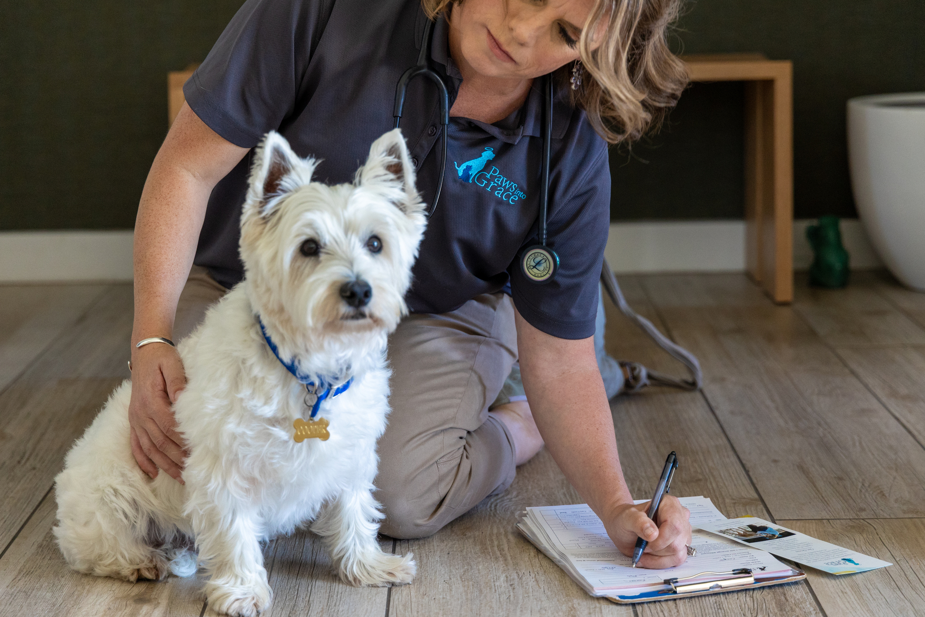 Veterinarian examining small white dog