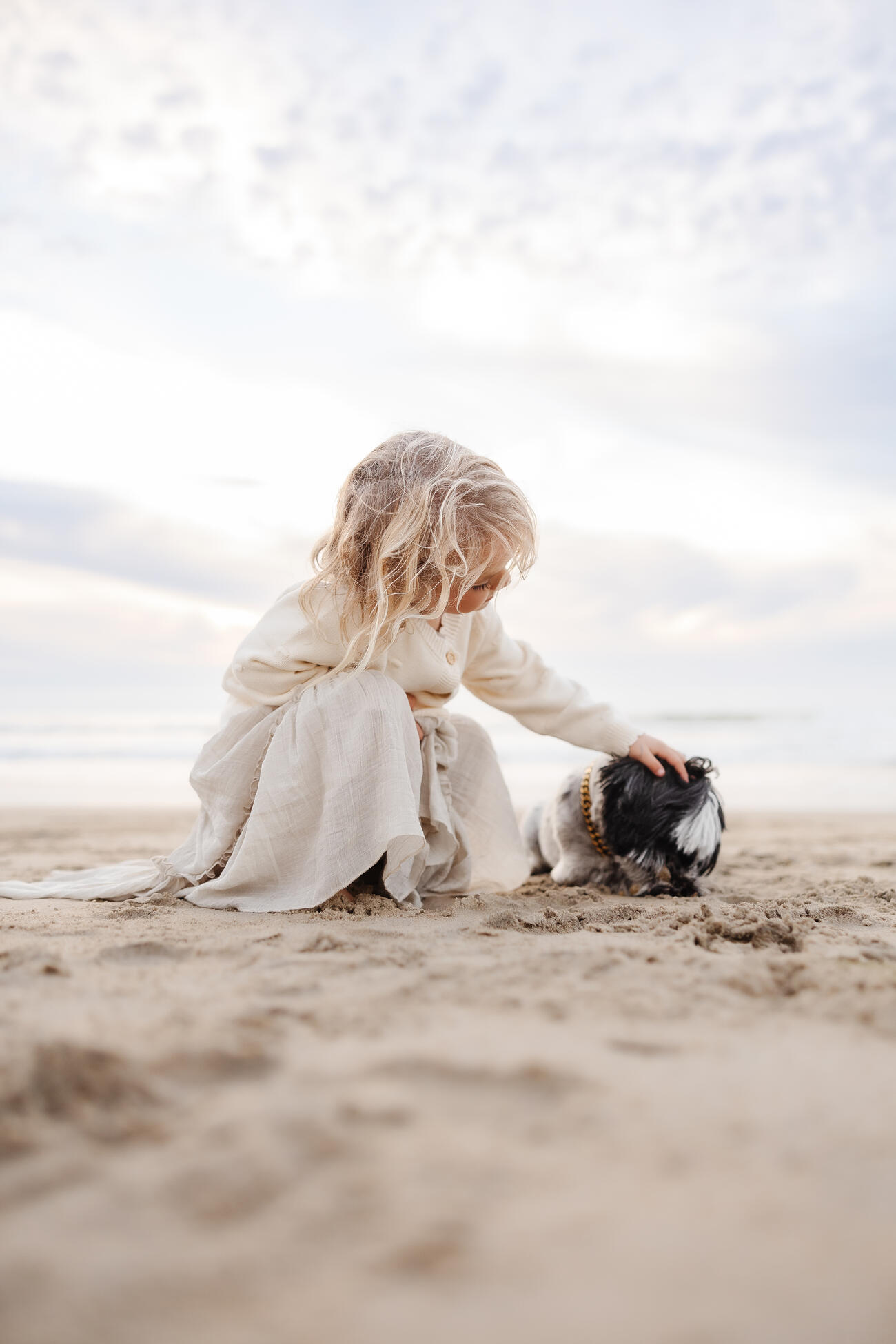Young child petting a small dog on the beach